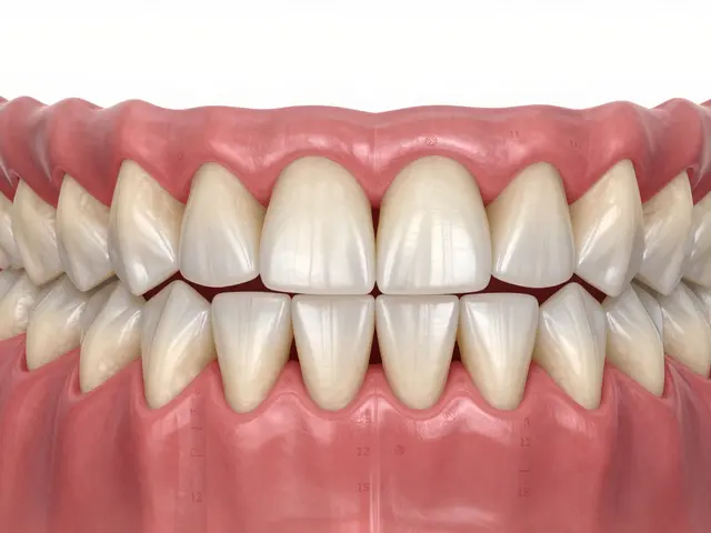 Názvy jednotlivých zubů: Jak poznat každý zub a proč to víš